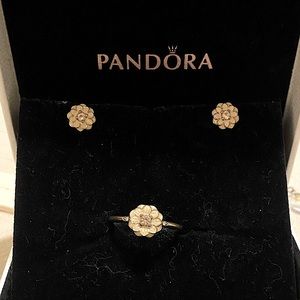 Pandora’s retired Blooming Dahlia set